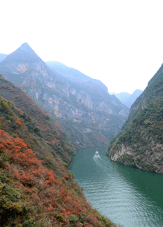 重庆巫山红叶